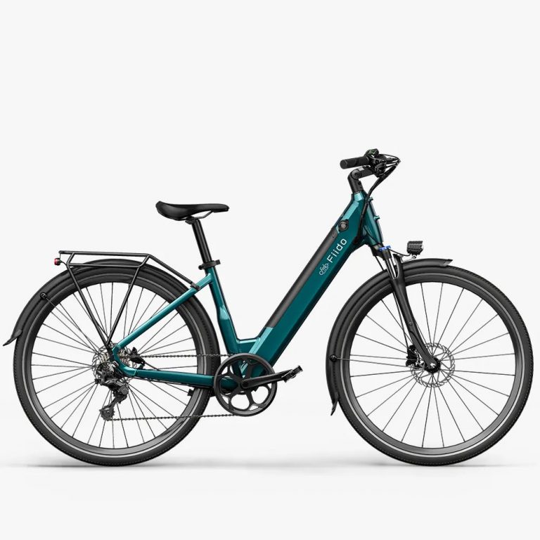 Fiido C11 City Electric Bike