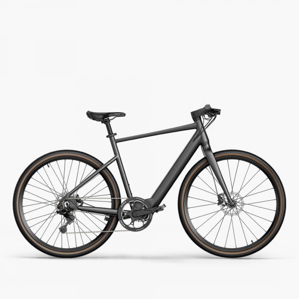 Fiido C21 E-Gravel & City Bike