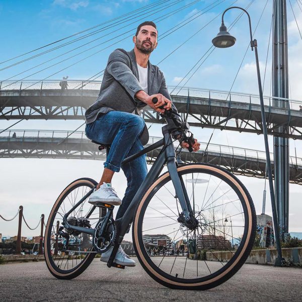 Fiido C21 E-Gravel & City Bike