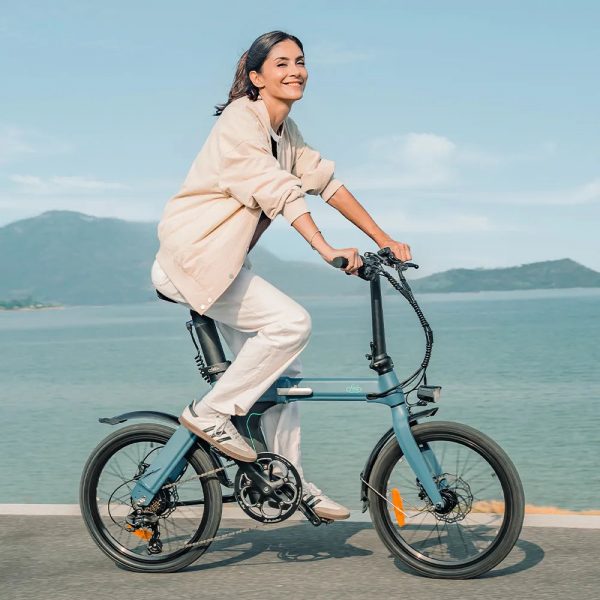 Fiido D11 Folding Electric Bike