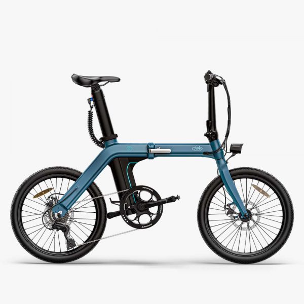 Fiido D11 Folding Electric Bike