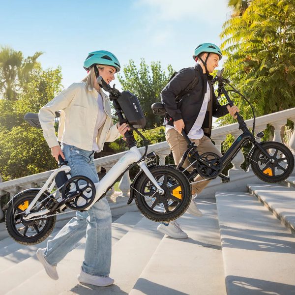 Fiido D3 Pro Mini Electric Bike