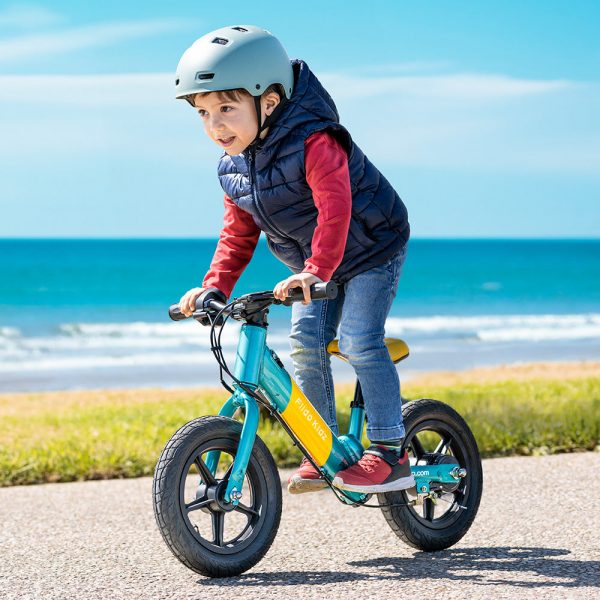 Fiido Kidz Electric Balance Bike" can be shortened to "Fiido Kidz Electric Bike