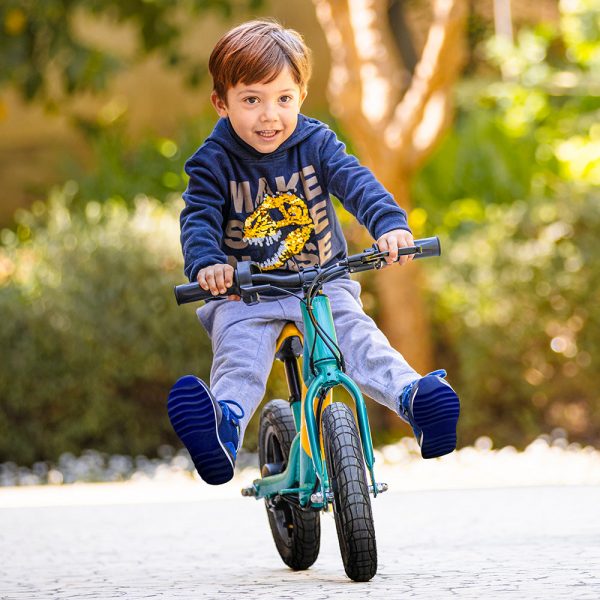 Fiido Kidz Electric Balance Bike" can be shortened to "Fiido Kidz Electric Bike