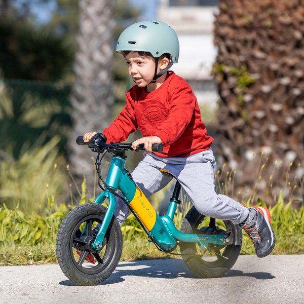 Fiido Kidz Electric Balance Bike" can be shortened to "Fiido Kidz Electric Bike