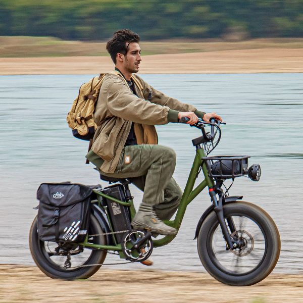 Fiido T1 Pro Electric Utility Bike