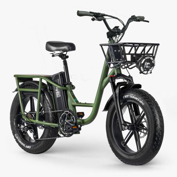 Fiido T1 Pro Electric Utility Bike