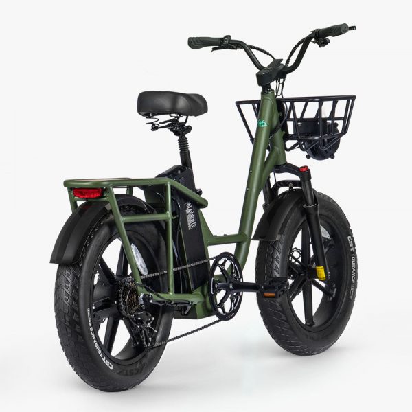 Fiido T1 Pro Electric Utility Bike