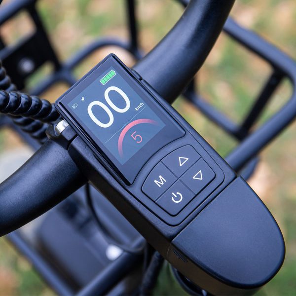 Fiido T1 Pro Electric Utility Bike