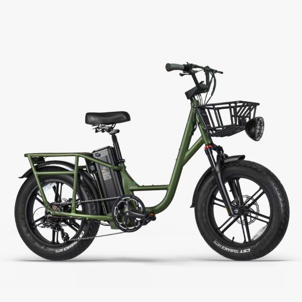 Fiido T1 Pro Electric Utility Bike