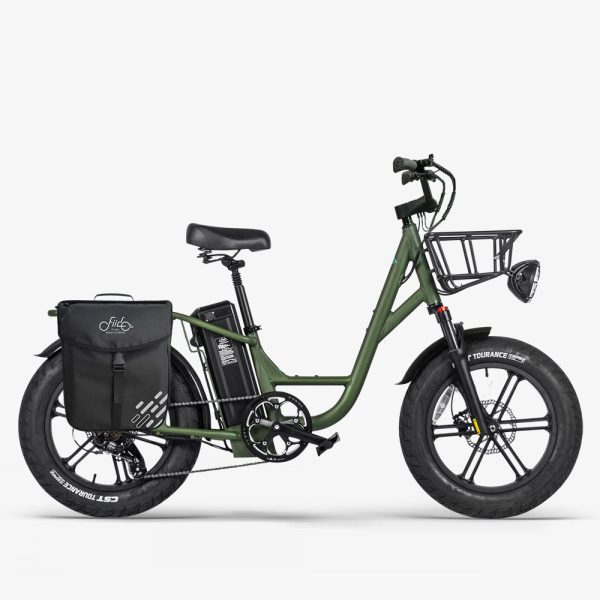 Fiido T1 Pro Electric Utility Bike