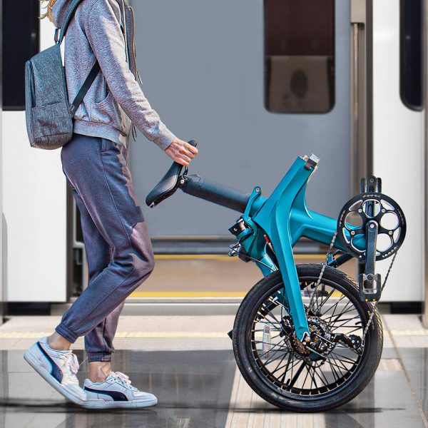 Fiido X Folding Electric Bike