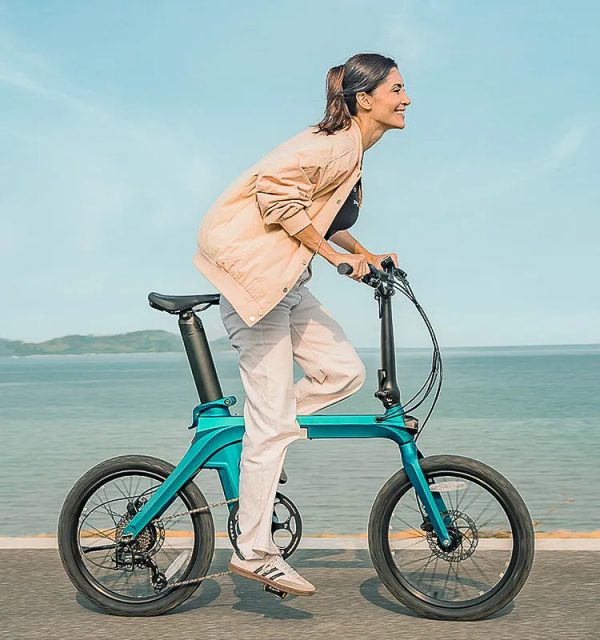 Fiido X Folding Electric Bike